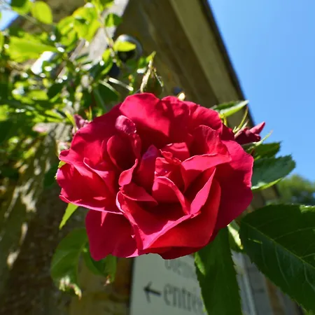 Apartamento Chateau Du Fayais - Dans Un Cadre Exceptionnel En Pleine Nature Pour 9 Personnes - By La Conciergerie Bièvre